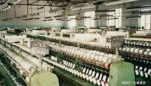 新晉中國女首富的財富密碼 剖析“年營收7800億，超華為成最大民企”背后的電信業務版圖